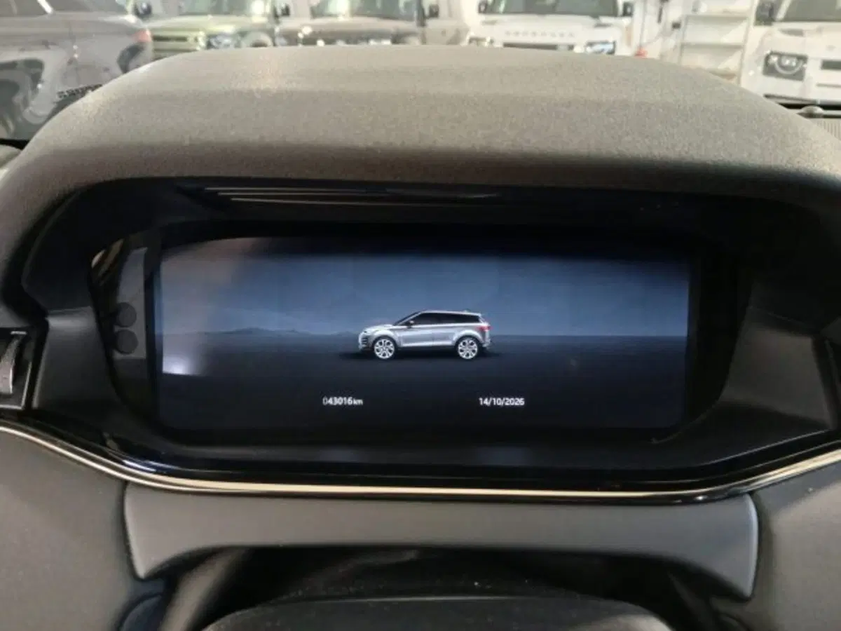 Land Rover Range Rover Evoque usata a Livorno (15)