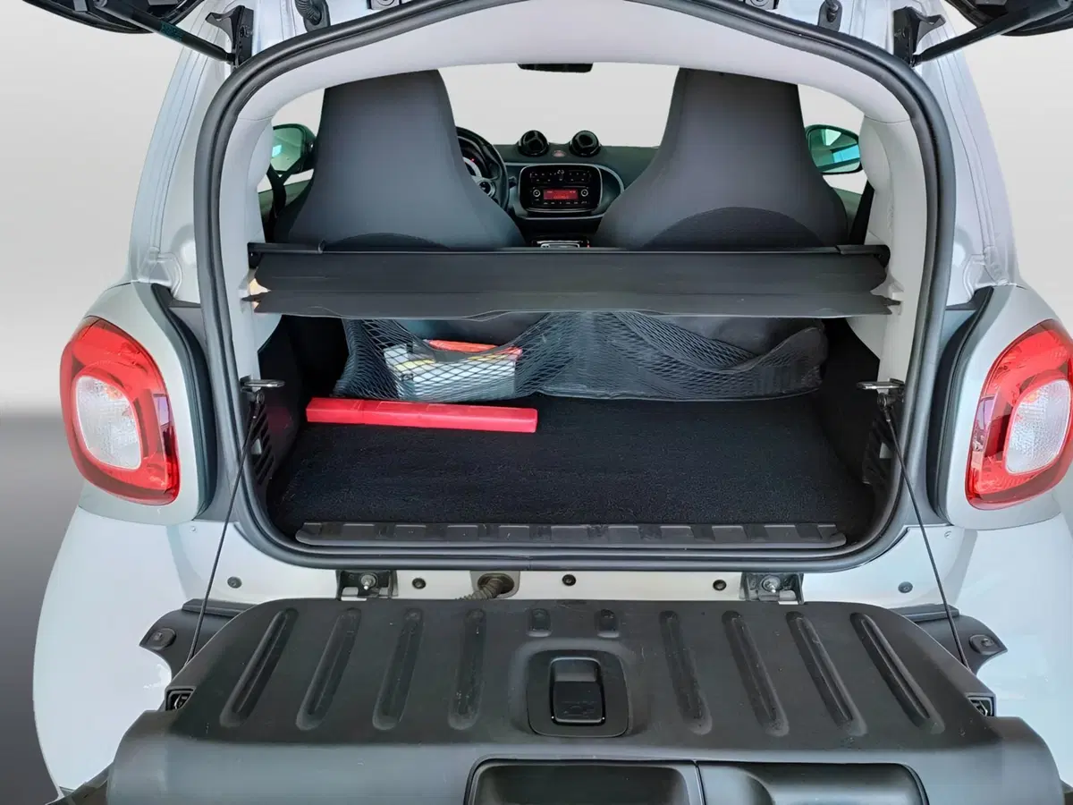 smart Fortwo usata a Ascoli Piceno (5)