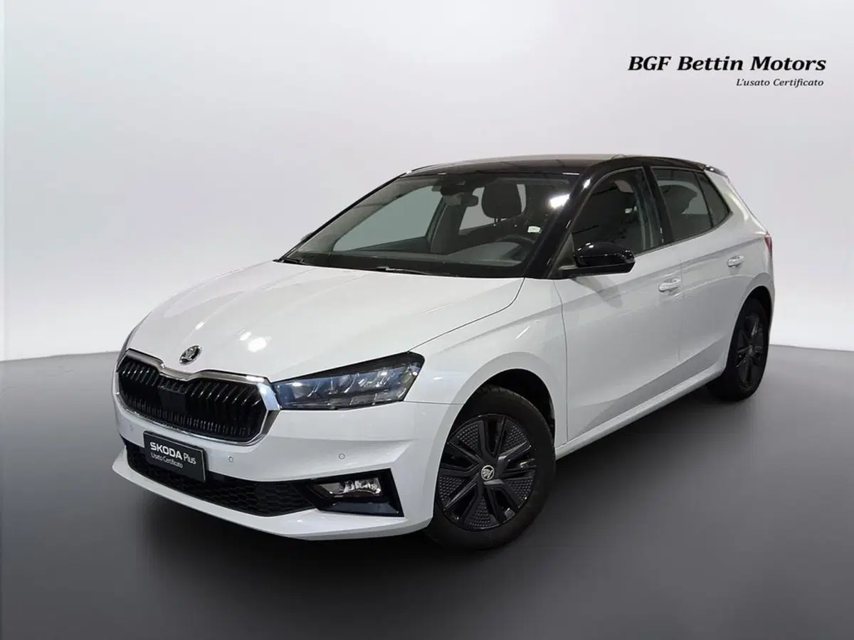 Skoda Fabia usata a Padova