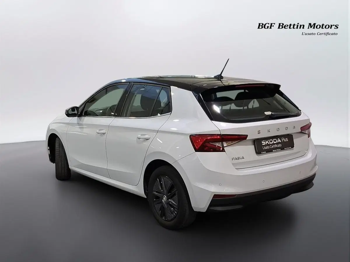 Skoda Fabia usata a Padova (3)