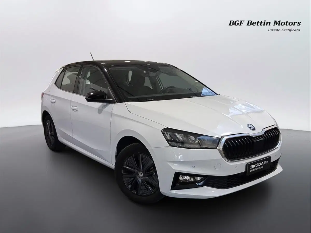 Skoda Fabia usata a Padova (4)