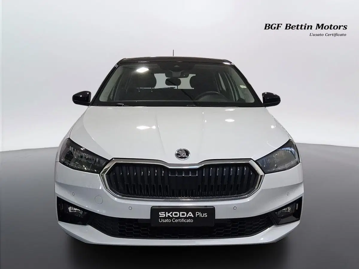 Skoda Fabia usata a Padova (7)