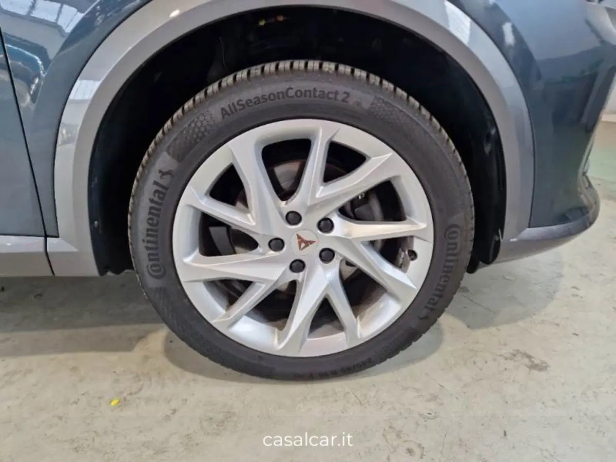 Cupra Formentor usata a Salerno (15)