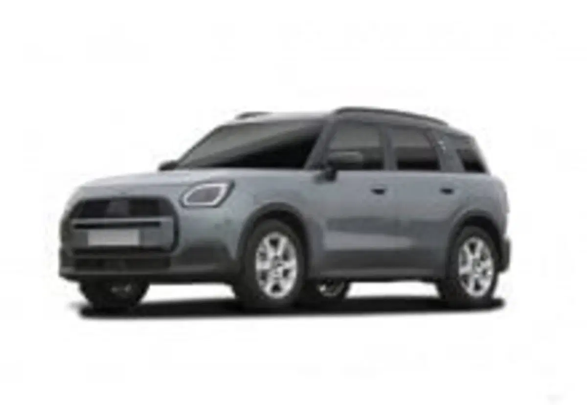 MINI Mini Countryman nuova a Torino
