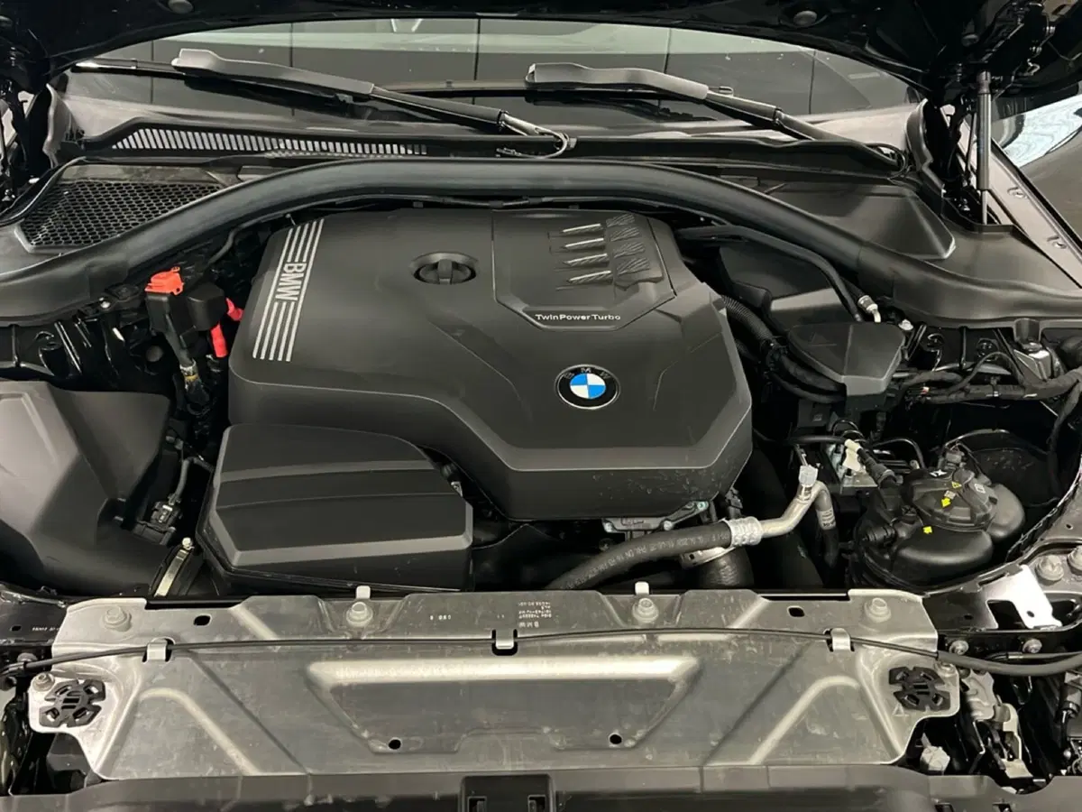 BMW Serie 2 Coupé usata a Torino (14)