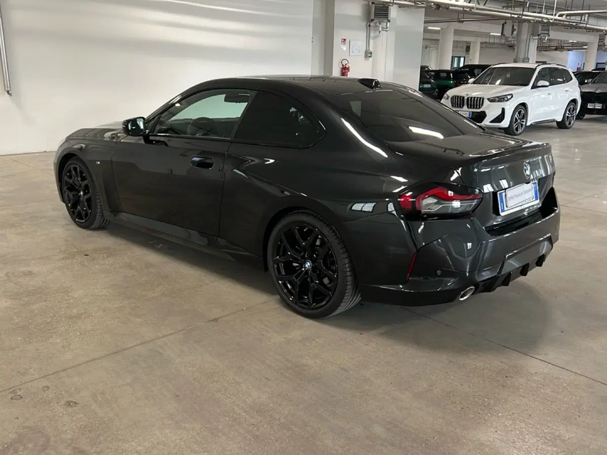 BMW Serie 2 Coupé usata a Torino (3)