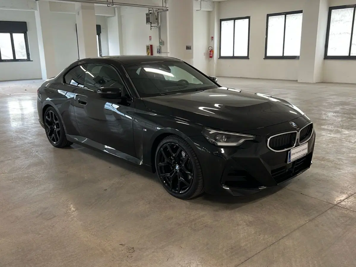 BMW Serie 2 Coupé usata a Torino (8)