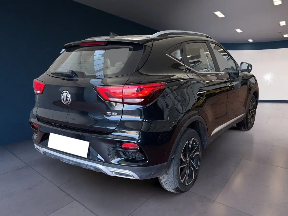 Mg ZS usata a Torino (6)