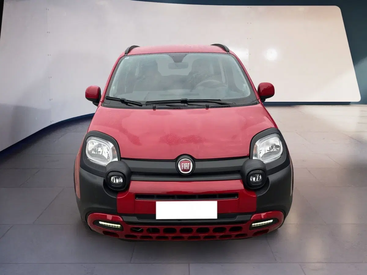 Fiat Panda Cross usata a Torino