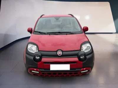 Fiat Panda Cross Cross 1.0 FireFly S&S Hybrid del 2023 usata a Torino
