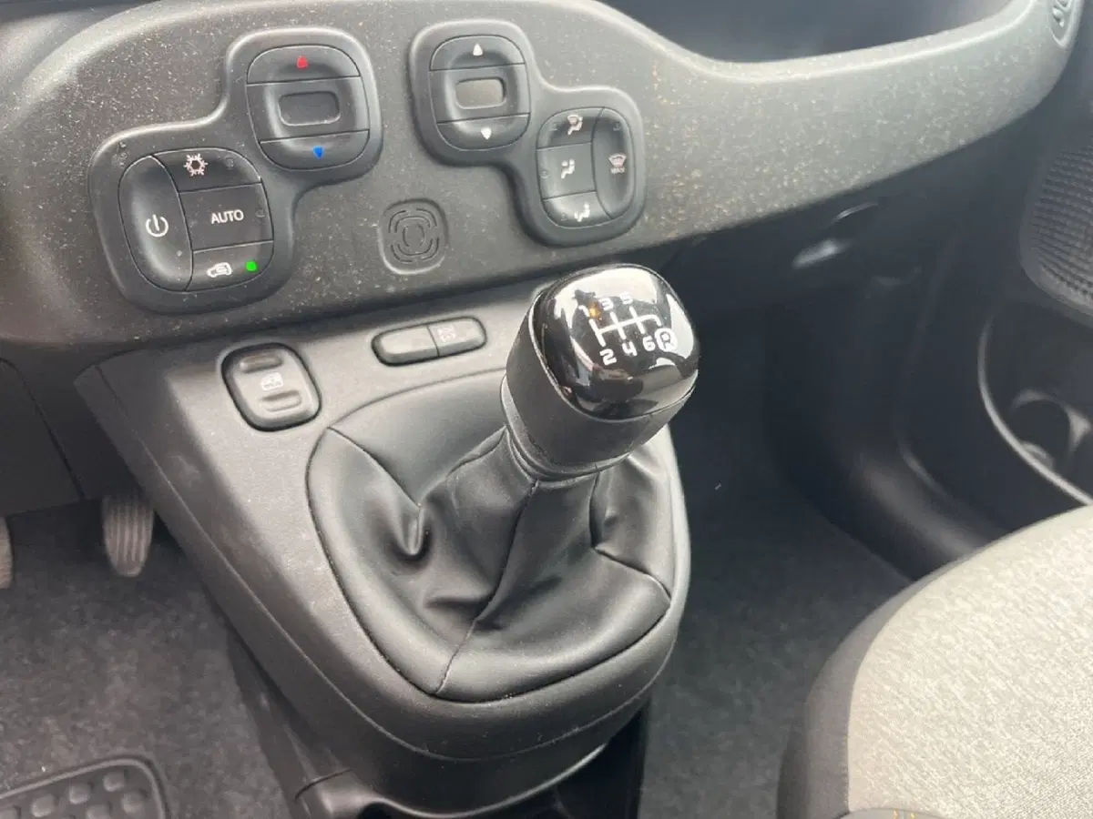 Fiat Panda Cross usata a Torino (11)