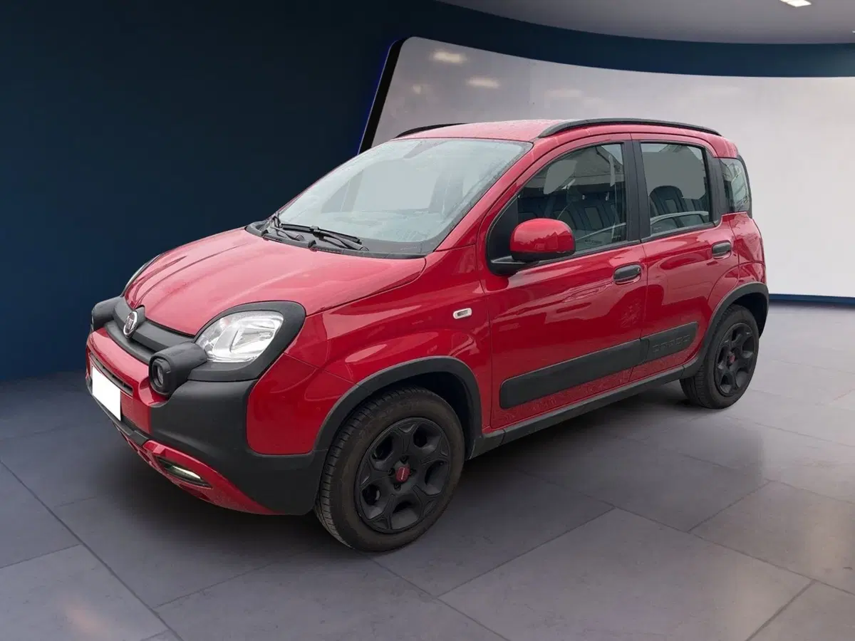 Fiat Panda Cross usata a Torino (2)