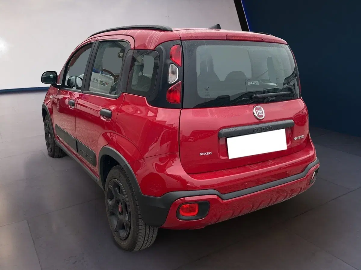 Fiat Panda Cross usata a Torino (3)