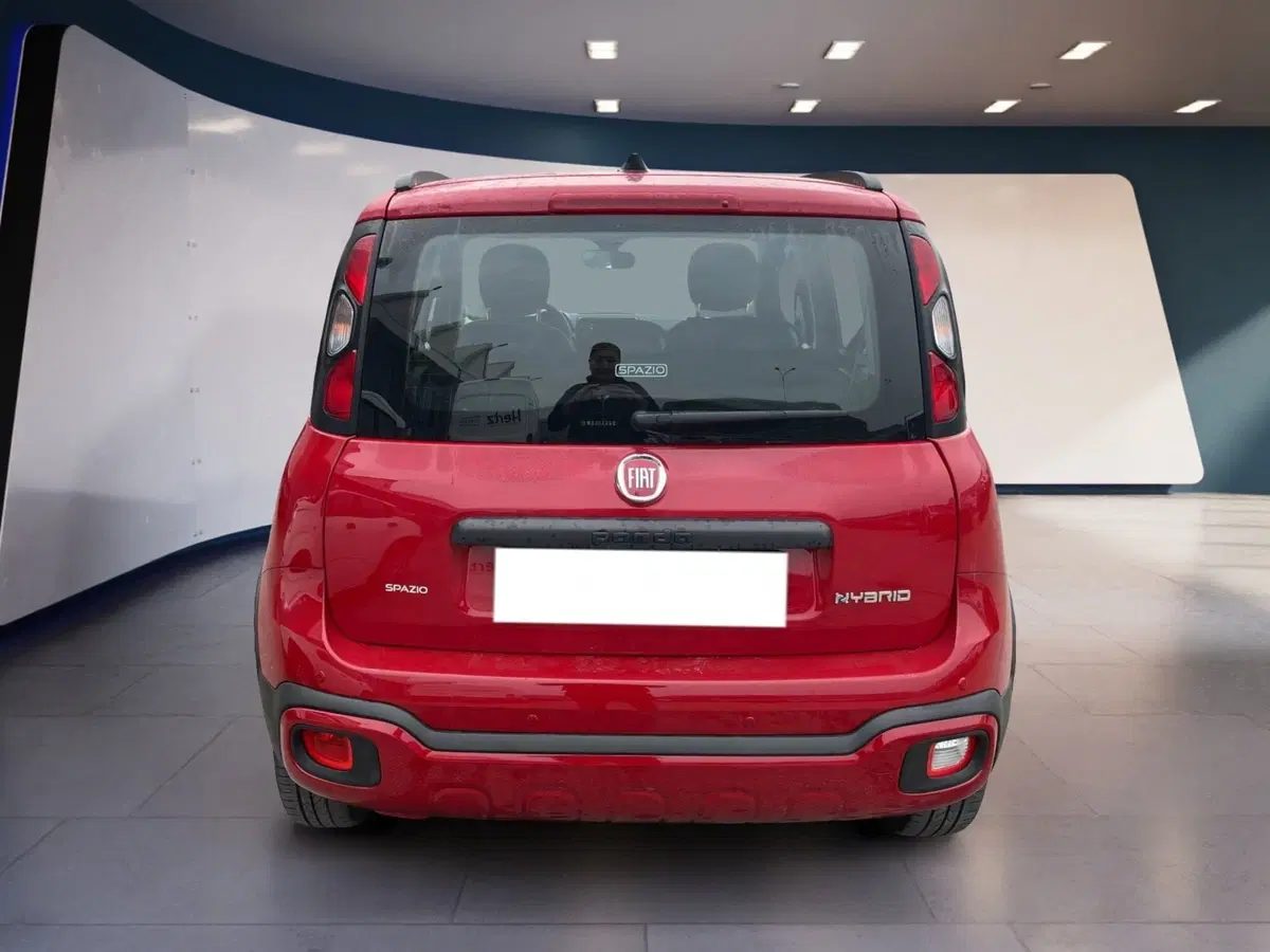 Fiat Panda Cross usata a Torino (4)