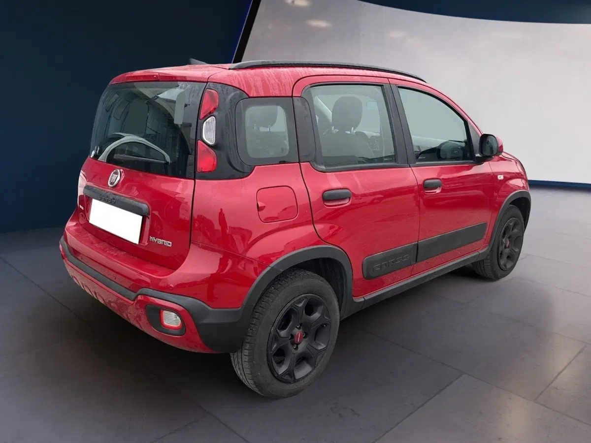 Fiat Panda Cross usata a Torino (5)