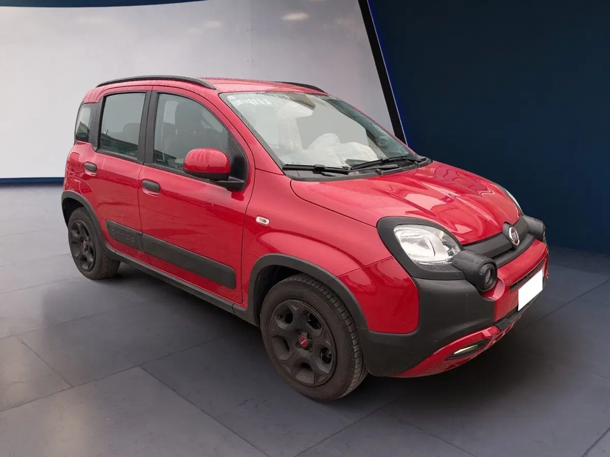 Fiat Panda Cross usata a Torino (6)