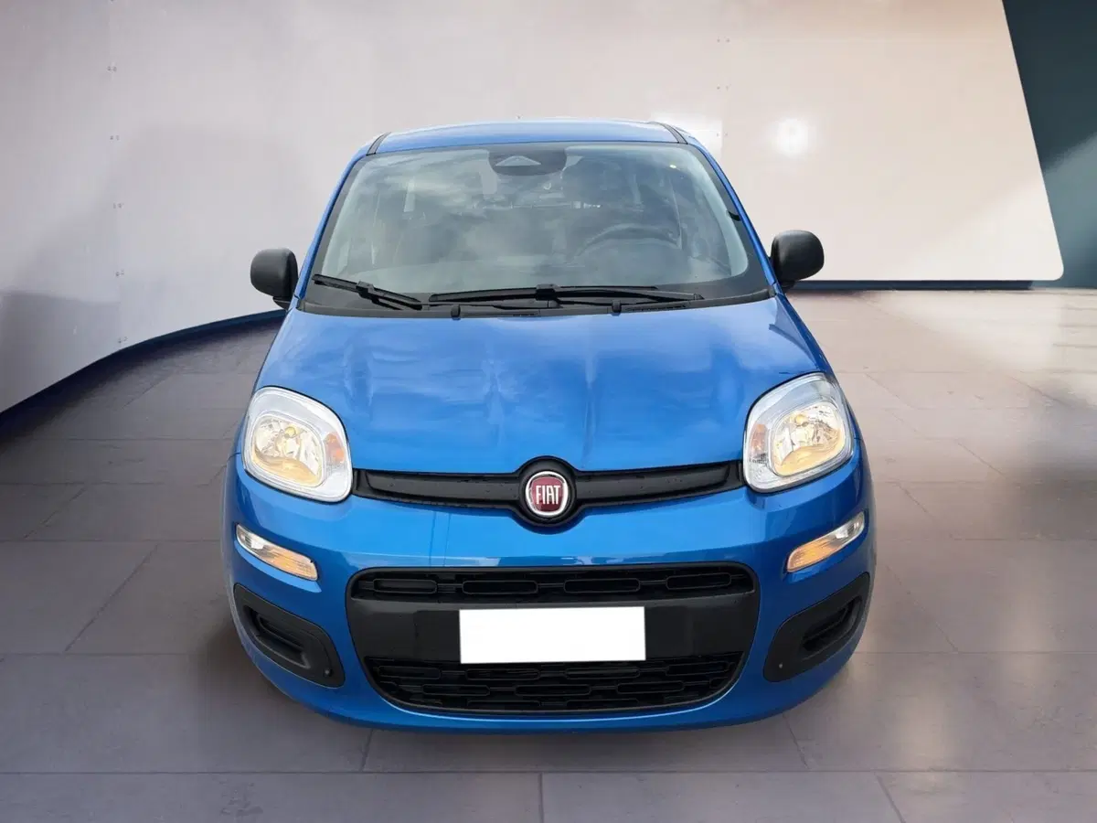 Fiat Pandina usata a Torino