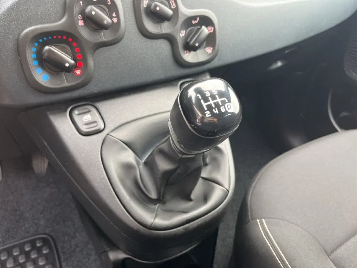 Fiat Pandina usata a Torino (11)