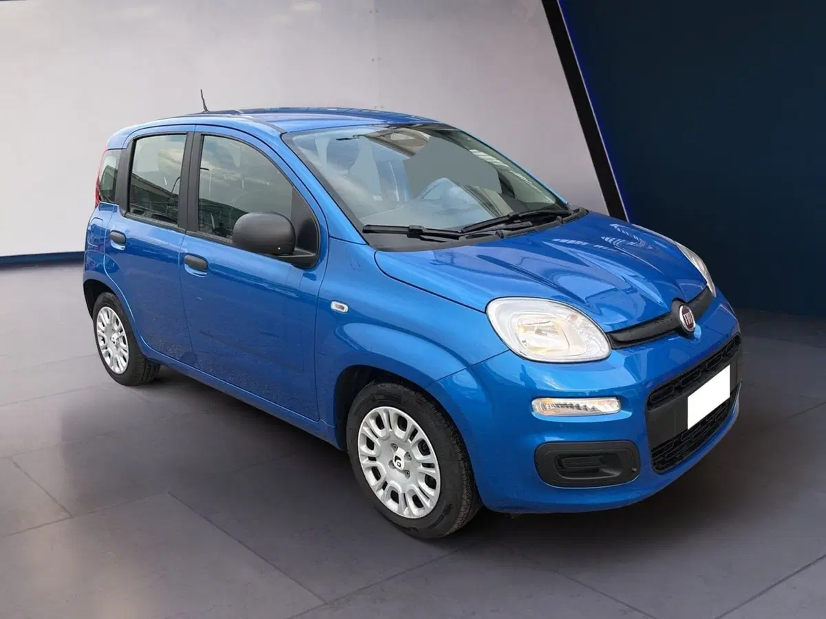 Fiat Pandina usata a Torino (2)