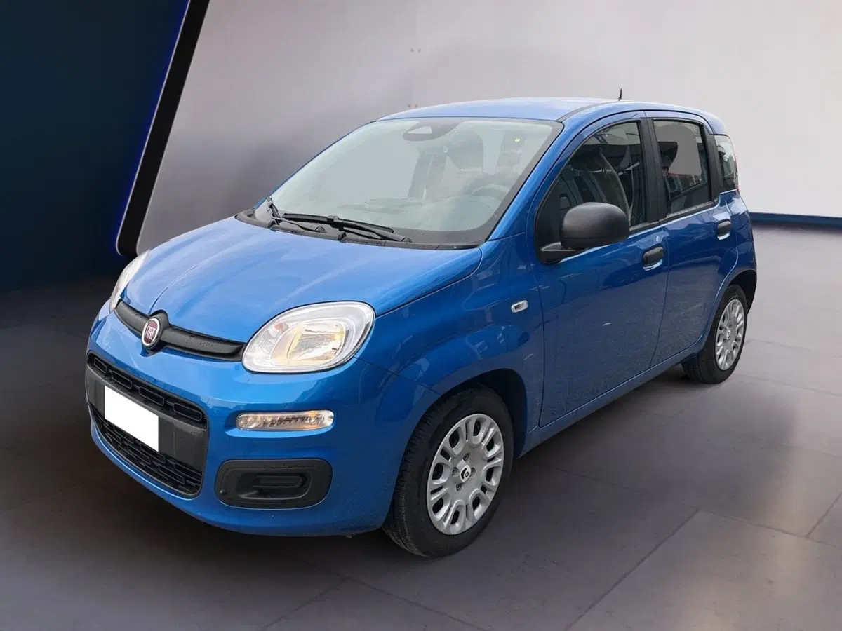 Fiat Pandina usata a Torino (3)