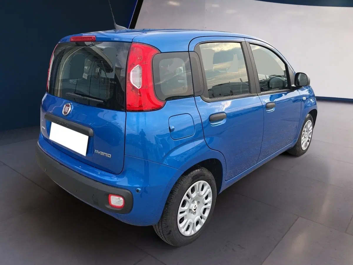 Fiat Pandina usata a Torino (6)