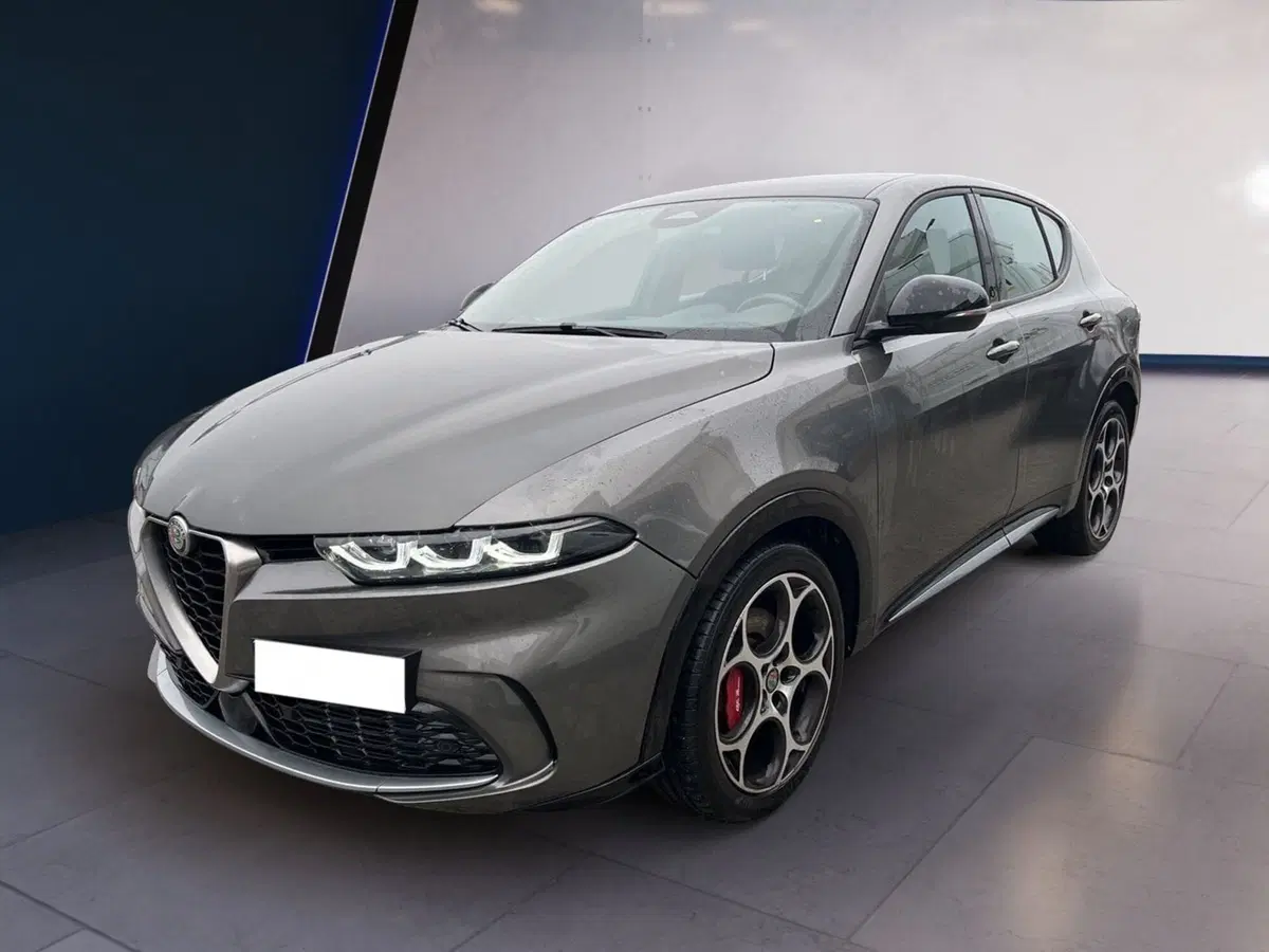 Alfa Romeo Tonale usata a Torino (3)