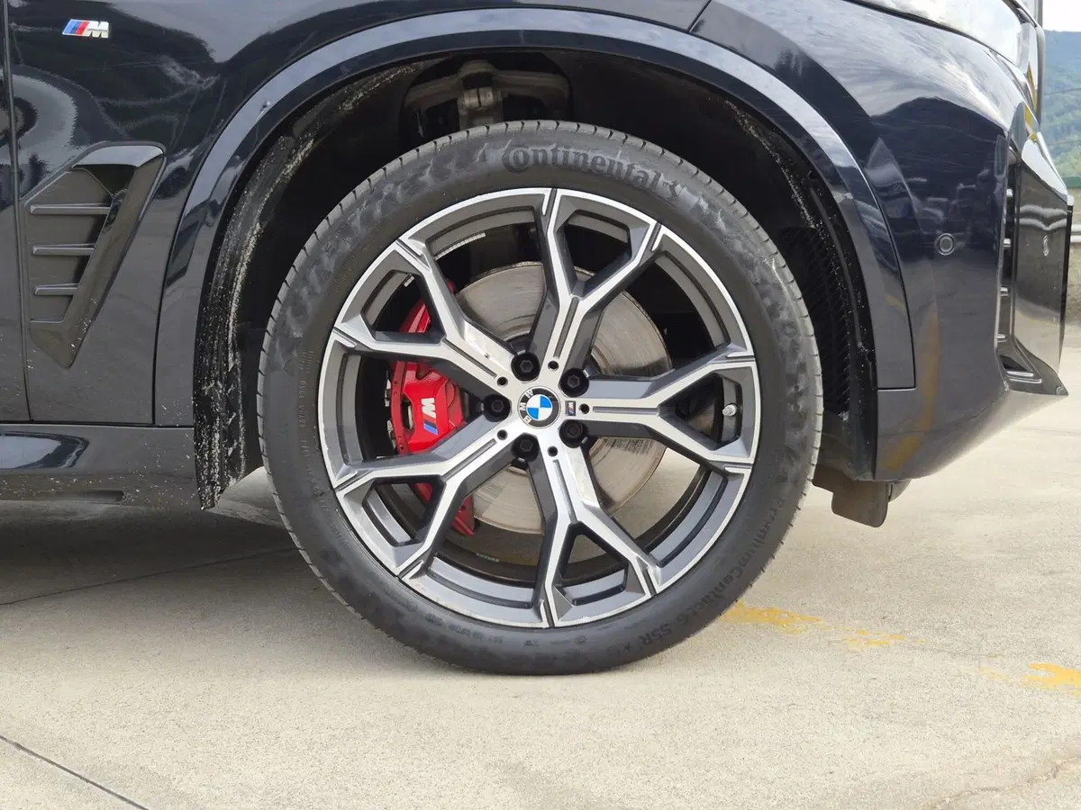 BMW X5 usata  (12)