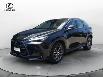 Lexus NX 350h 2.5 Business 4wd e-cvt del 2023 usata a Venezia