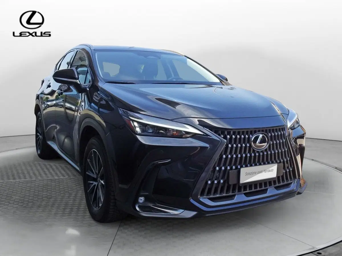 Lexus NX usata a Venezia (2)