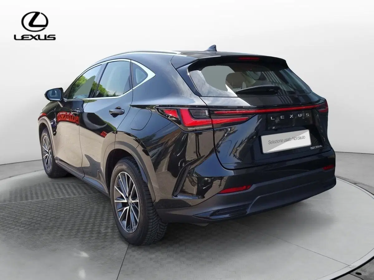 Lexus NX usata a Venezia (3)