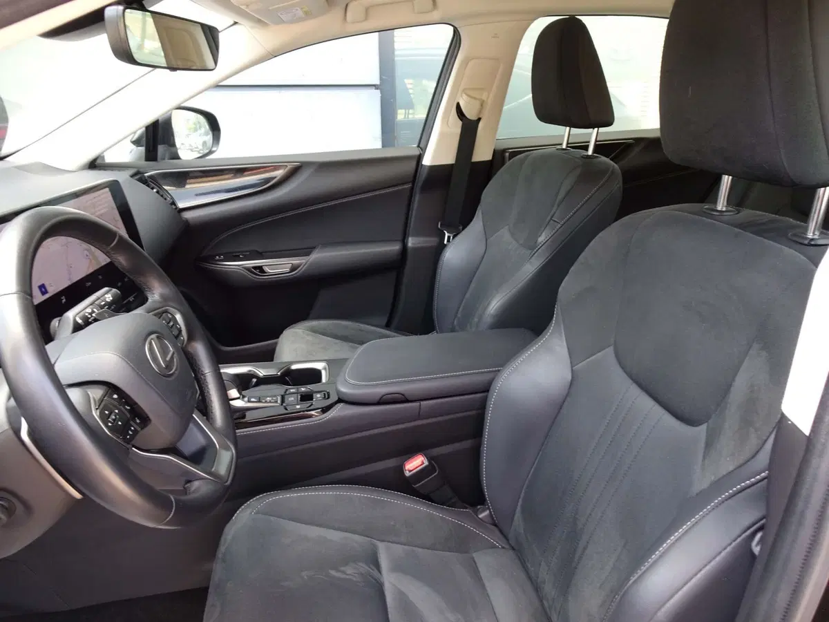 Lexus NX usata a Venezia (7)