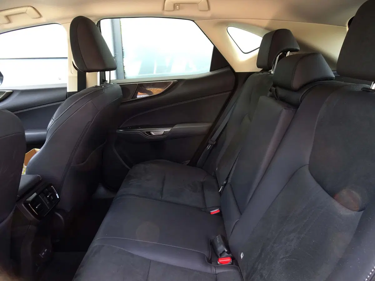 Lexus NX usata a Venezia (8)
