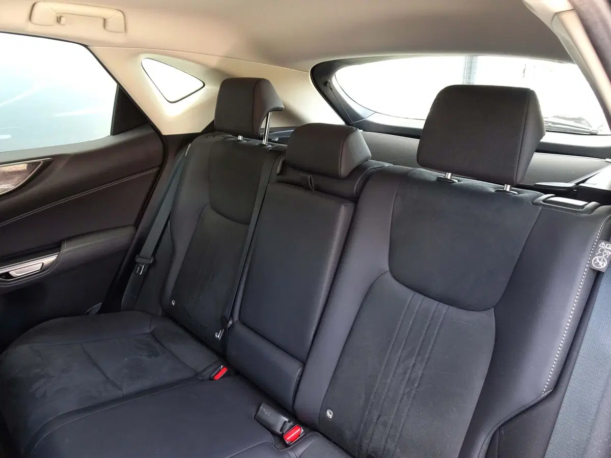 Lexus NX usata a Venezia (9)
