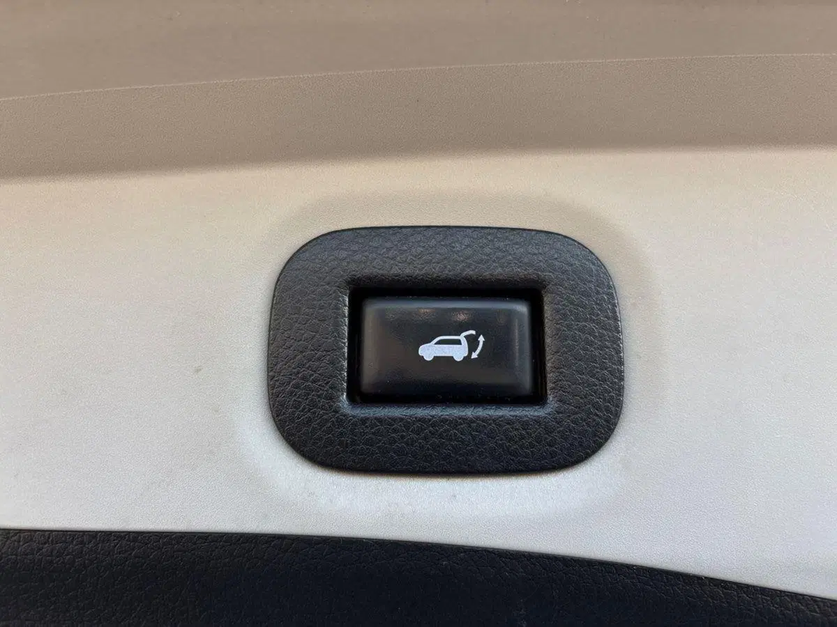 Nissan X-Trail usata a Venezia (19)