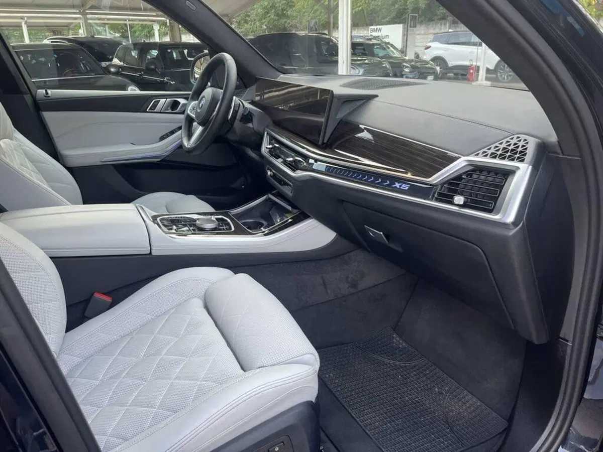 BMW X5 usata a Alessandria (13)