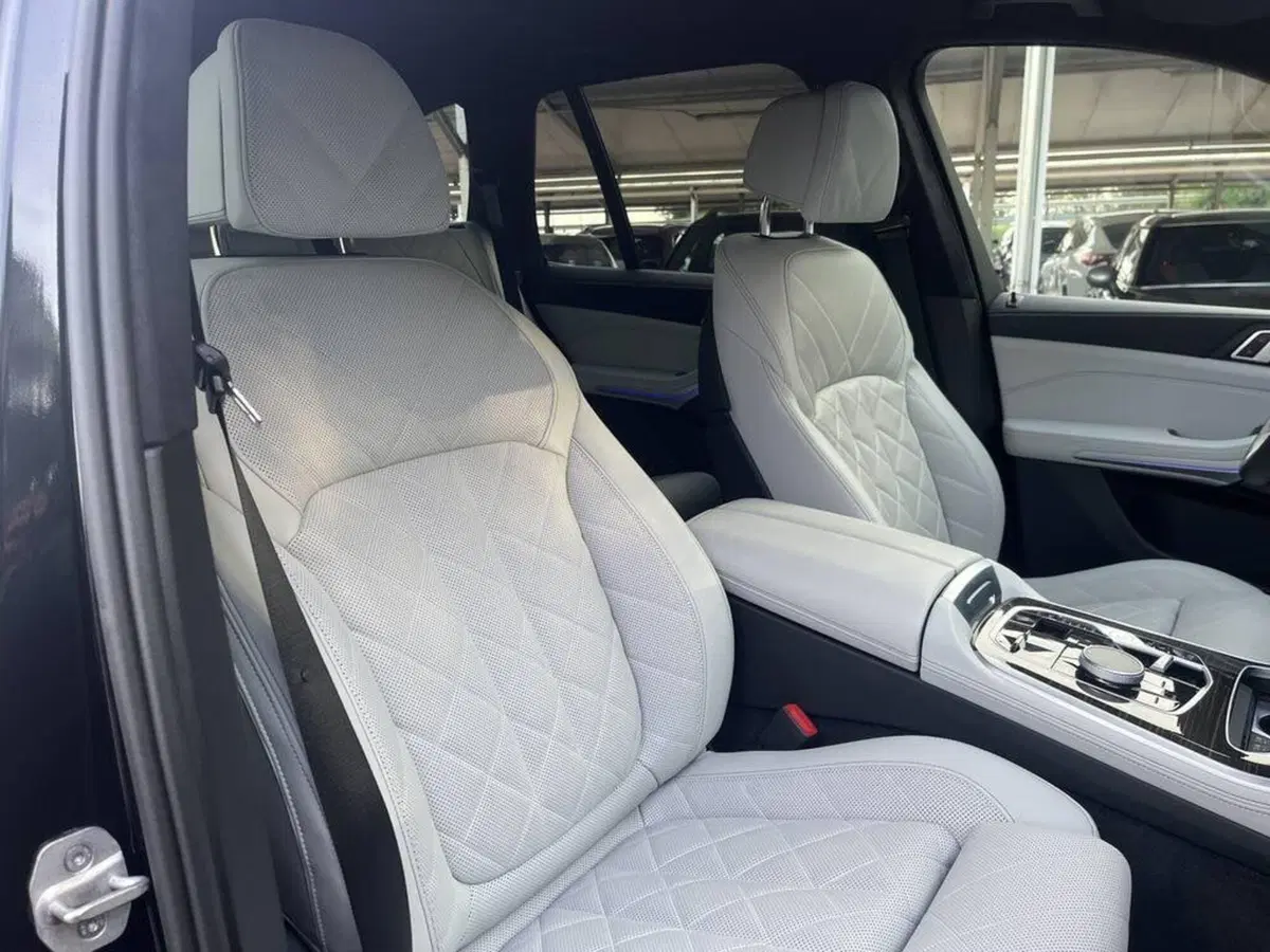 BMW X5 usata a Alessandria (15)