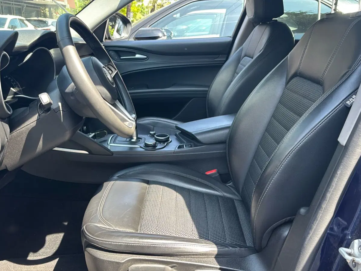 Alfa Romeo Stelvio usata a Forlì-Cesena (11)
