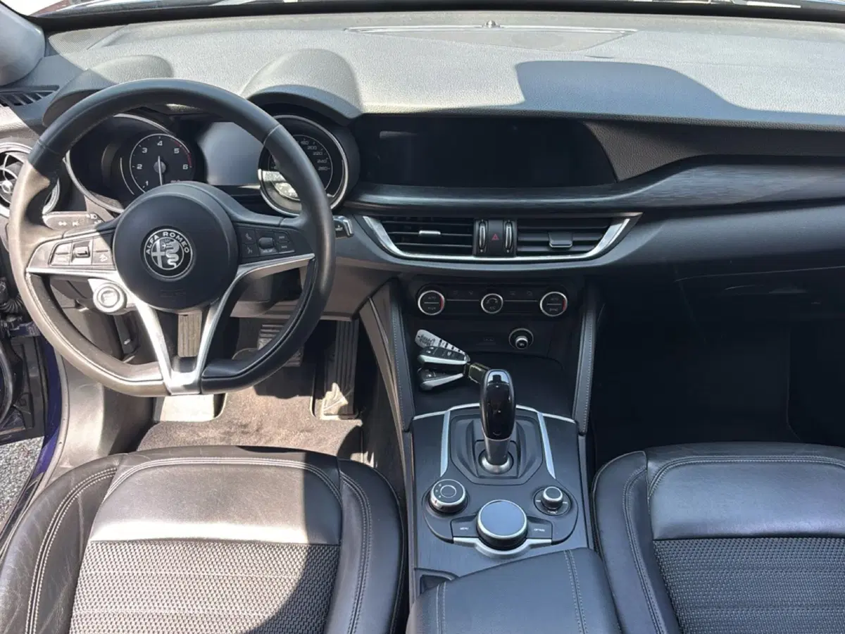 Alfa Romeo Stelvio usata a Forlì-Cesena (13)