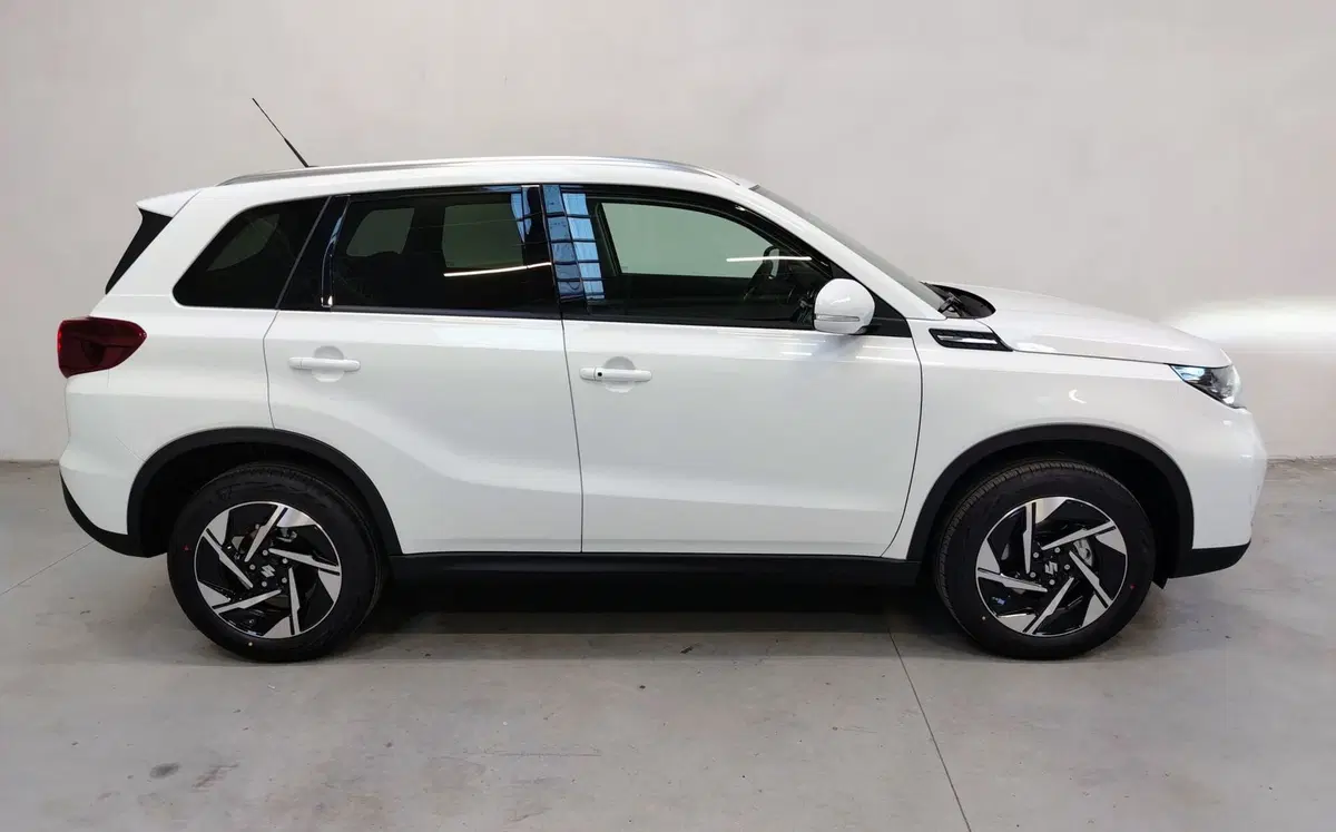 Suzuki Vitara usata a Rovigo (12)