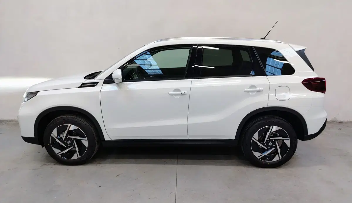 Suzuki Vitara usata a Rovigo (5)