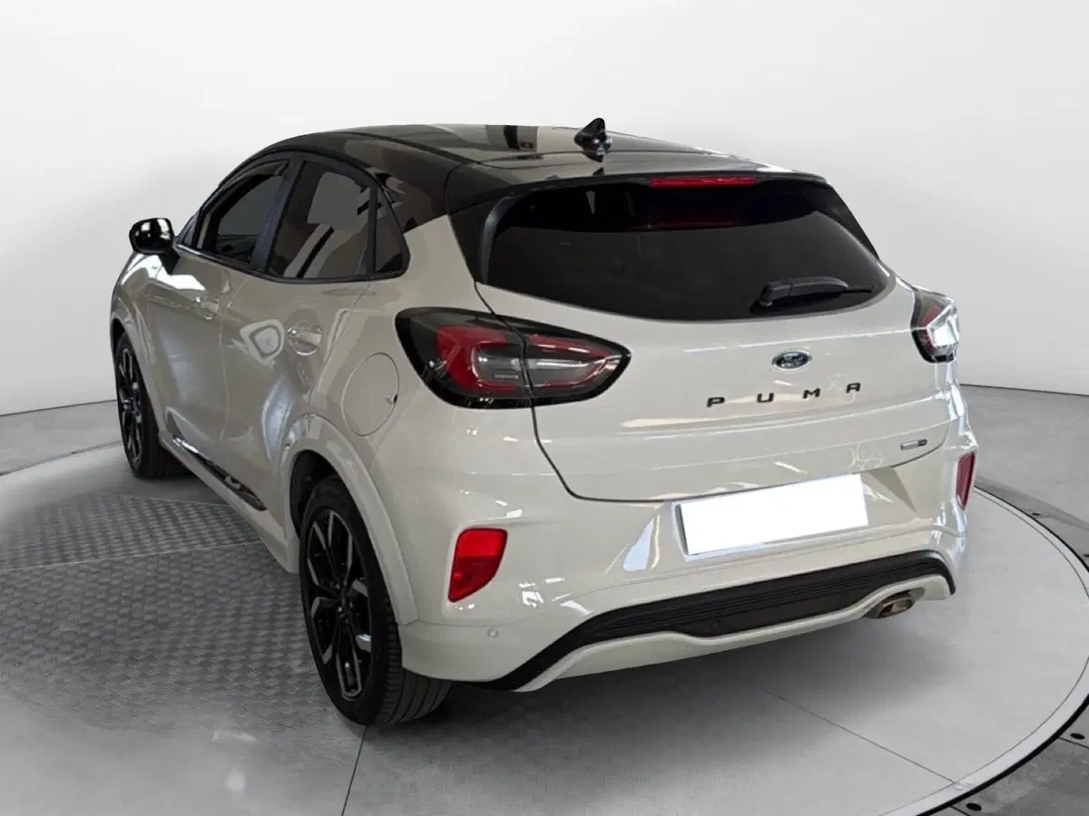 Ford Puma usata a Pisa (14)