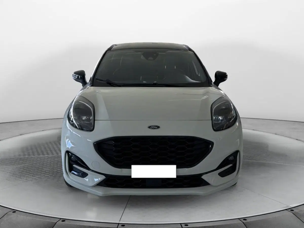 Ford Puma usata a Pisa (2)