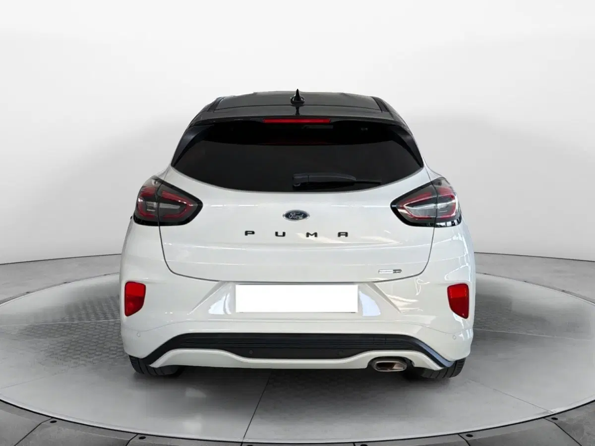 Ford Puma usata a Pisa (3)