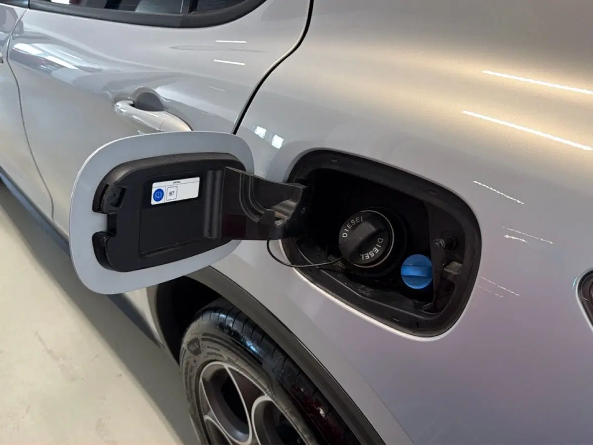 Alfa Romeo Stelvio usata a Pisa (14)