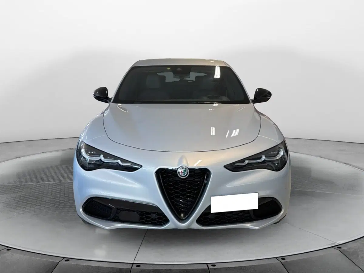 Alfa Romeo Stelvio usata a Pisa (2)