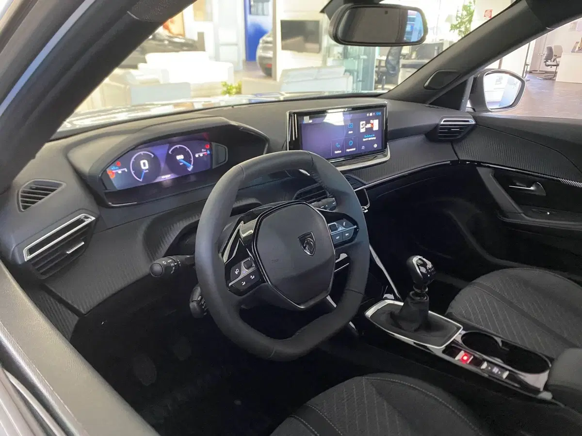 Peugeot 2008 usata a Bari (13)