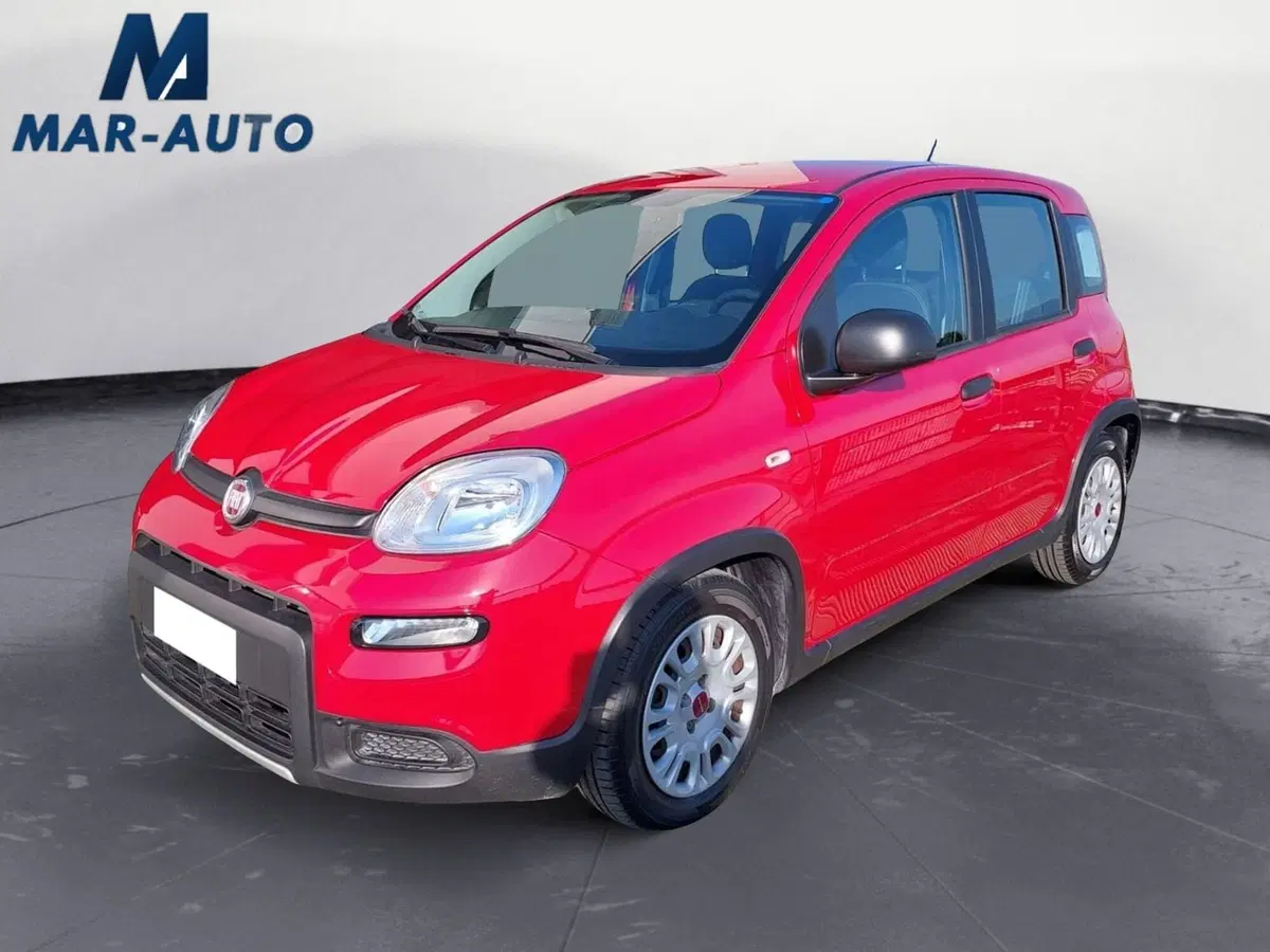 Fiat Panda Cross usata a Treviso