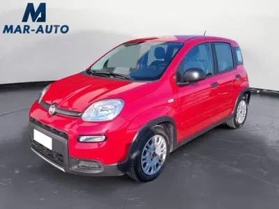 Fiat Panda Cross Cross 1.0 FireFly S&S Hybrid del 2024 usata a Castelfranco Veneto