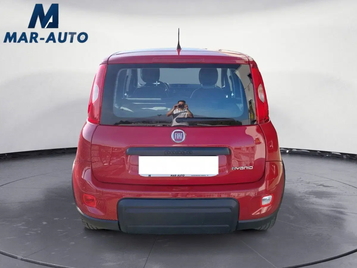 Fiat Panda Cross usata a Treviso (13)