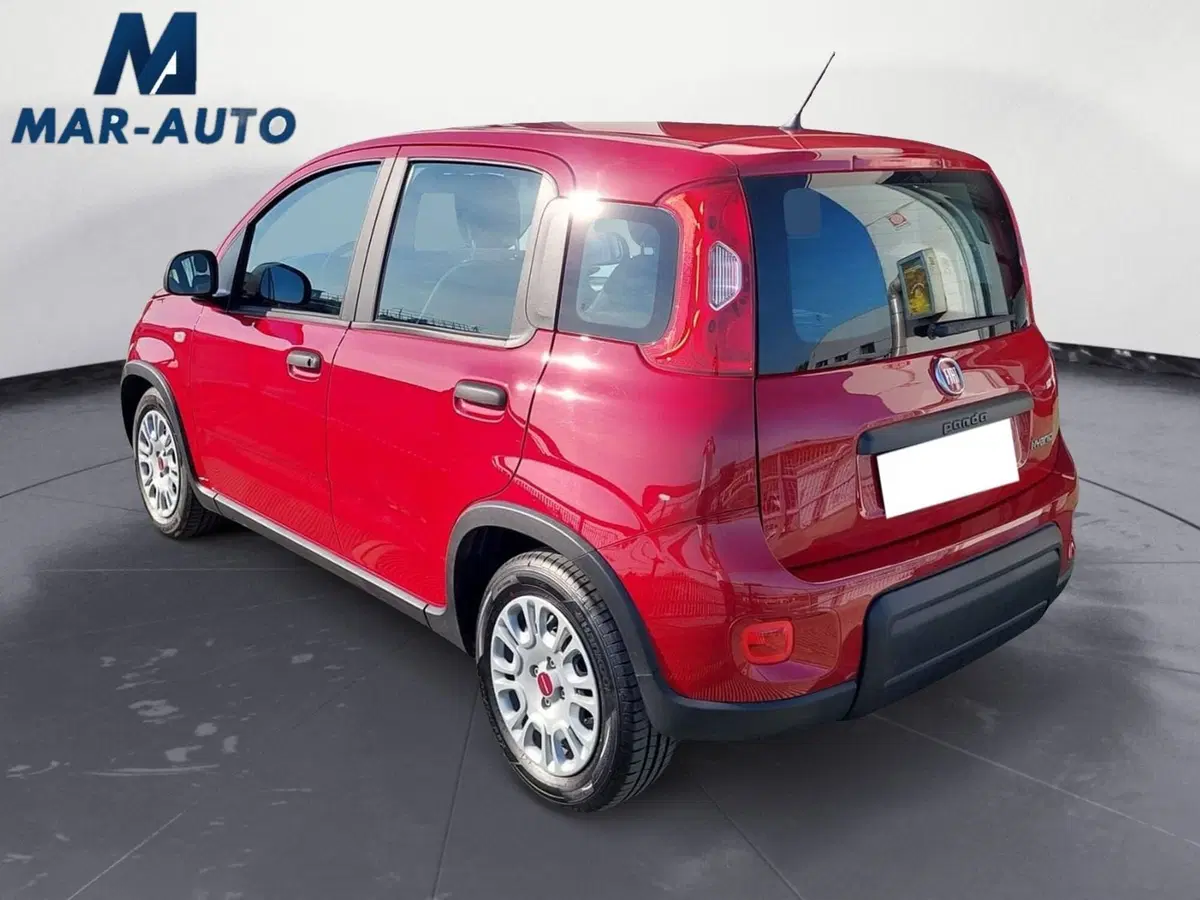 Fiat Panda Cross usata a Treviso (2)